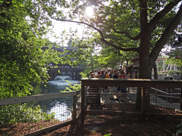 Karen and Alex in line to ride Maverick