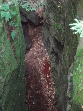 a deep crevice at Panama Rocks
