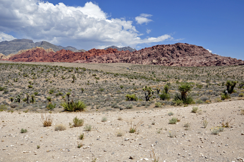 red rock behind the visitor center