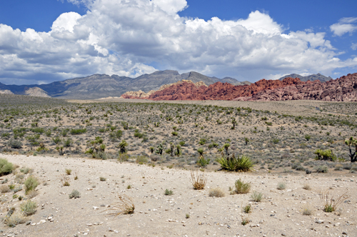 red rock behind the visitor center