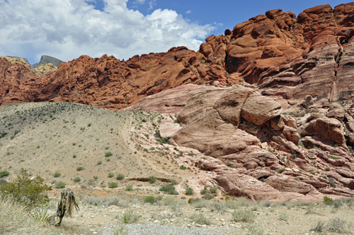 Red Rock Canyon National Conservation Area scenery