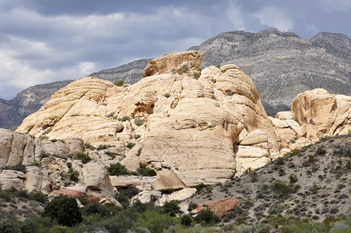 check out the great color combinations