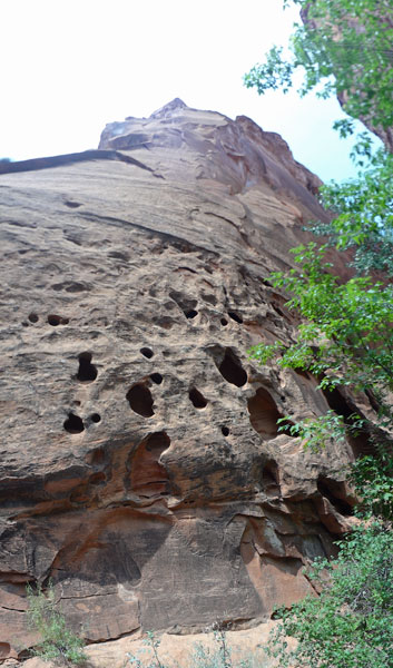 upward panorama view of a tall mountain