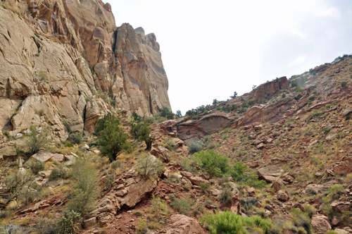 a rocky area by the side of the road