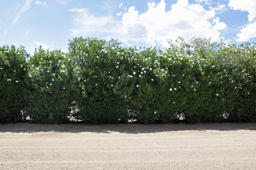 view from the front window of the two Rv Gypsies' RV
