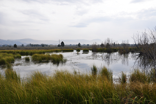 Karen Duquette at the Grand Teton National Park sign