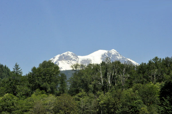 Mt. Rainier 