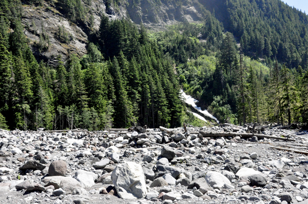the rocky Carter Falls trail