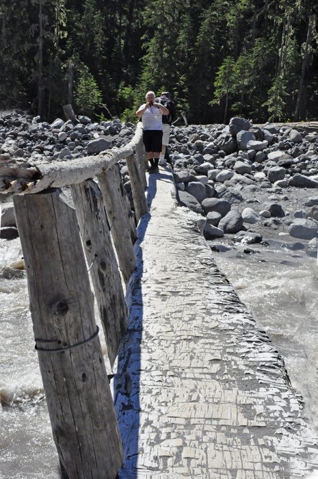 Lee Karen Duquette on the log bridge