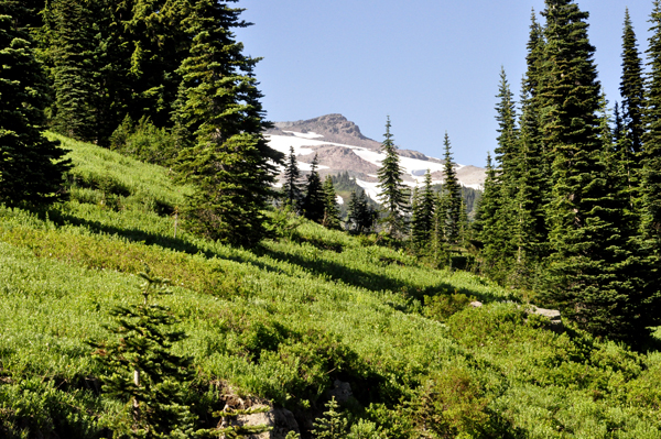 View as the two RV Gypsies walk along the trail to Myrtle Falls