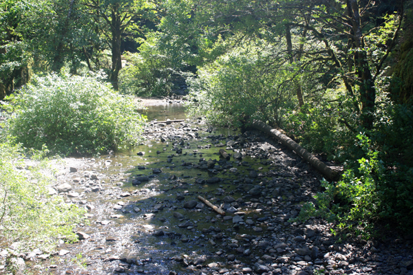 the clear, cold, rocky stream