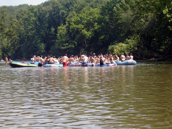 a big group of tubers