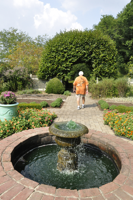 A water fountain with green water bubbling over
