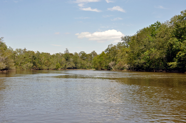 The Pearl River