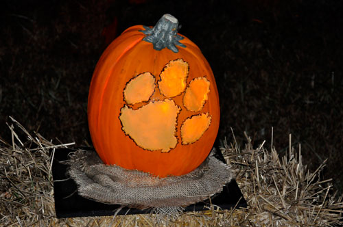 animal footprint pumpkin