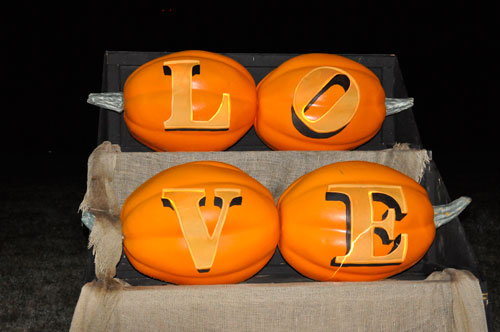 Love pumpkins