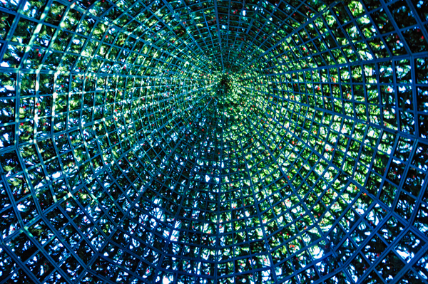 inside the Christmas tree