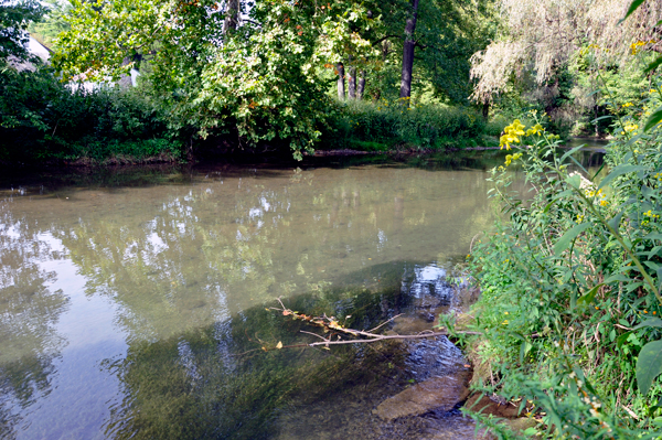 view from Bogart's Covered Bridge