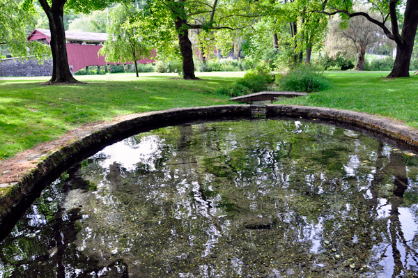 a small pond