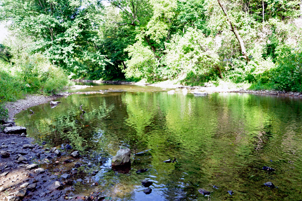 view from Guth's Covered Bridge