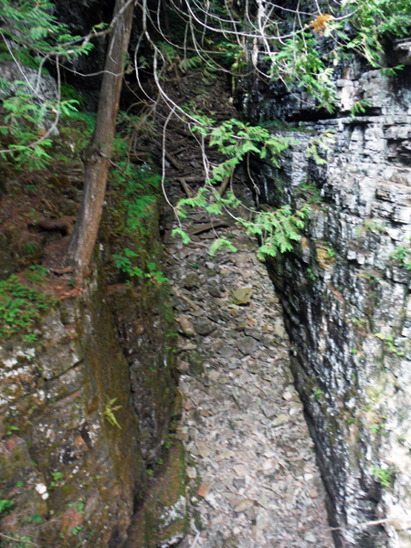 view from the left side of the bridge