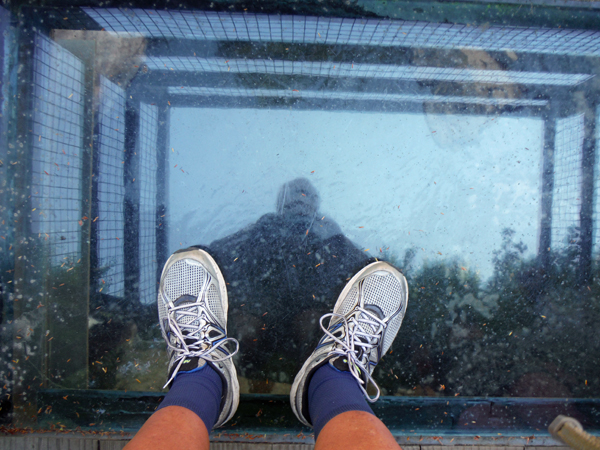 glass bottom lower deck