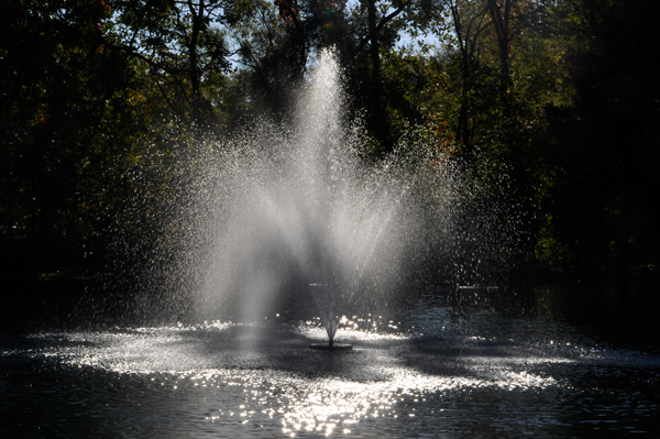 water fountain in the campground