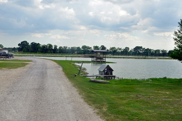 one of many ponds or lakes