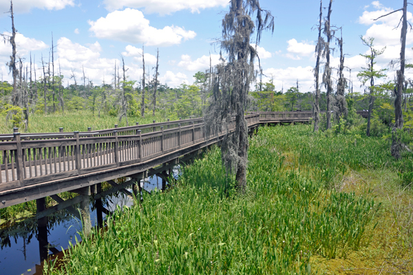boardwalk