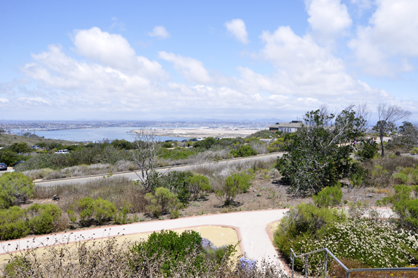 view of the surrounding area.