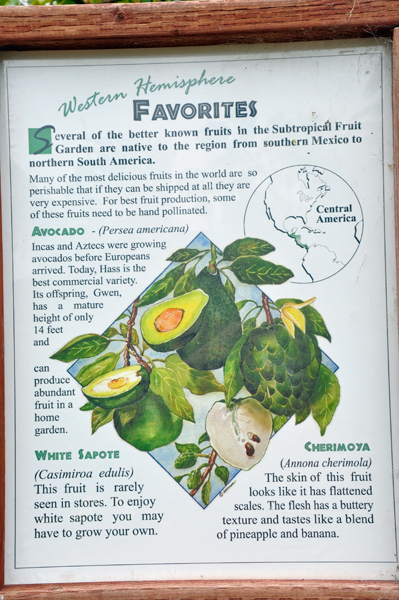 Western Hemiphers sign