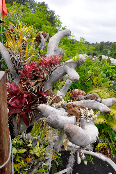Looking down from the treehouse