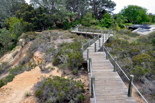 boardwalk