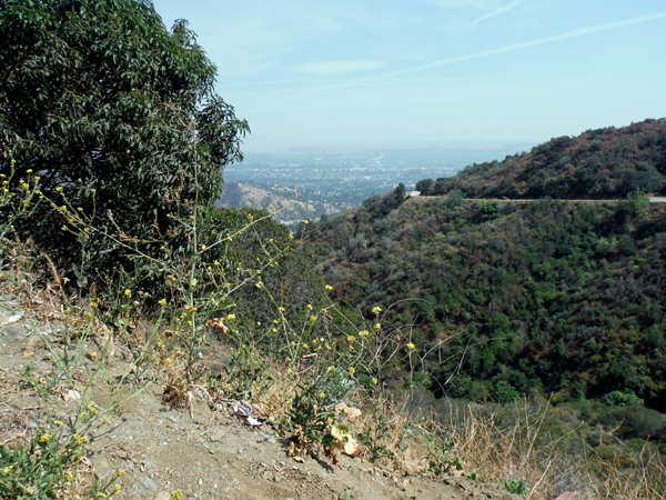 scenery one-land road