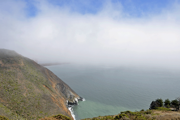 fog