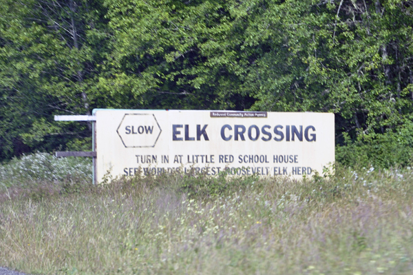 elk crossing sign