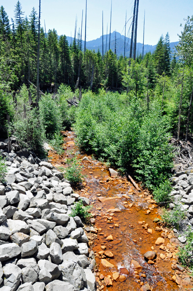 Kautz Creek in Rainier National Park