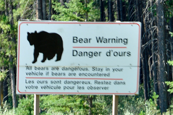 Bear warning danger sign