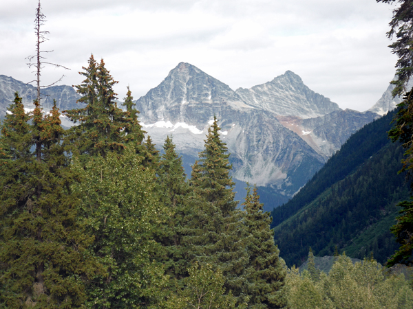 the glacier