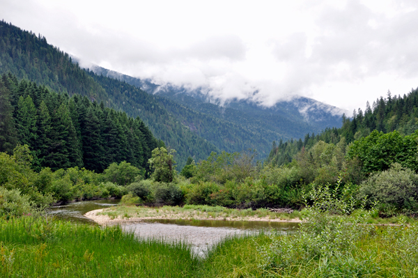 low clouds and a beaver pond