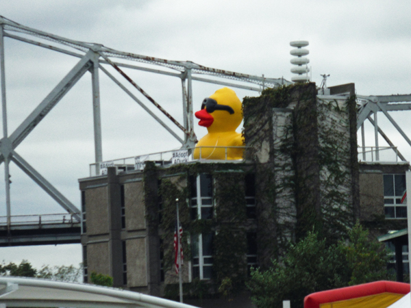 a big rubber duck