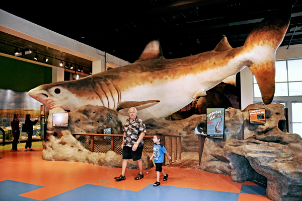 Lee and Anthony leaving the big shark