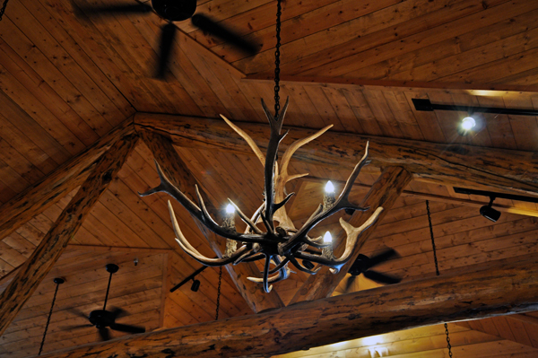 antler chandelier