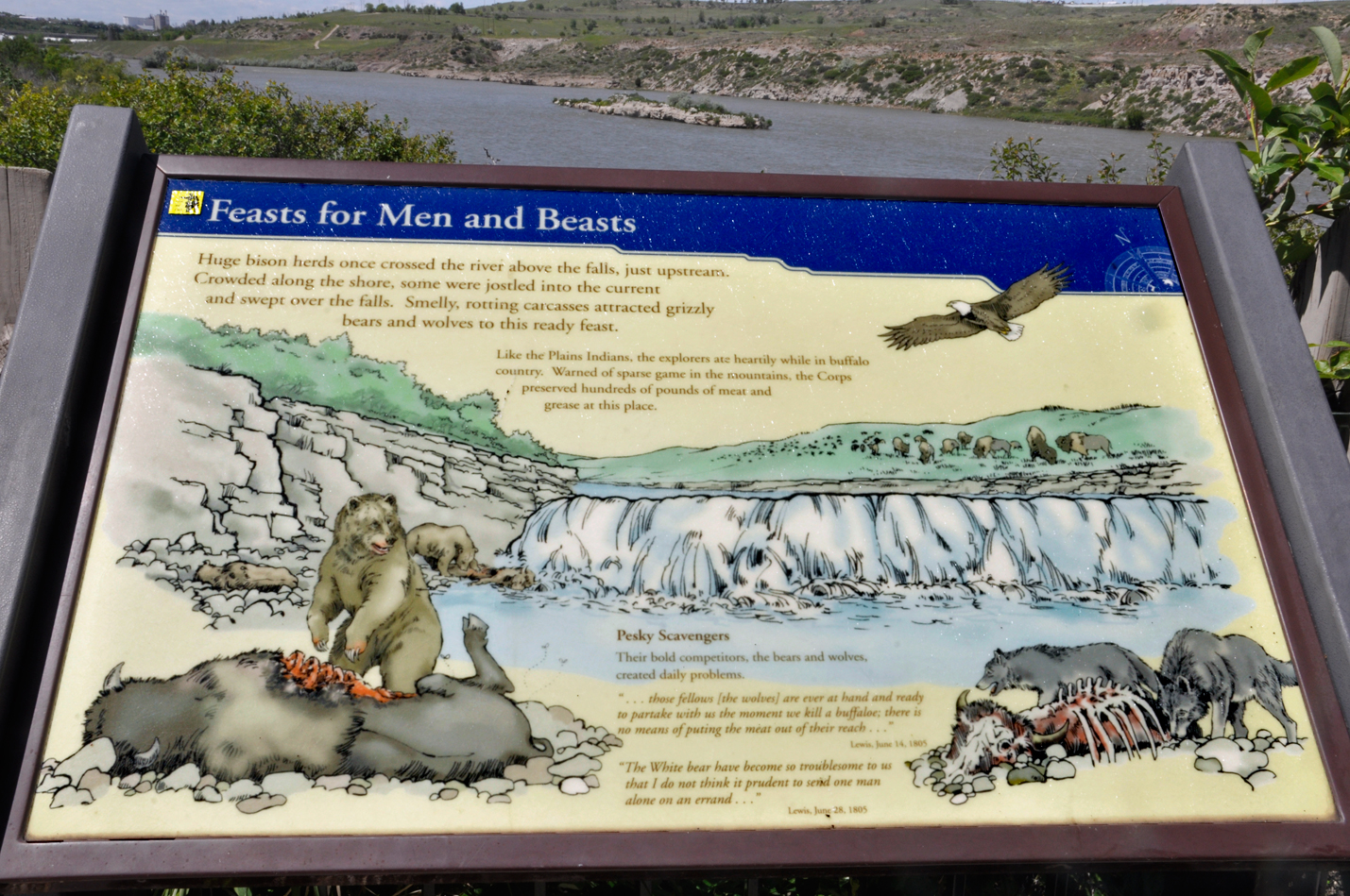 sign; fests for men and beasts