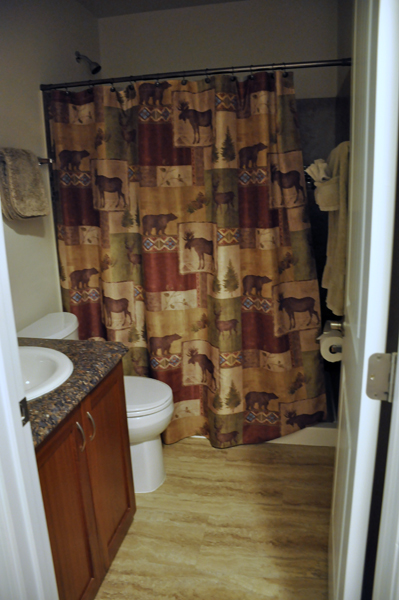 washroom and shower.