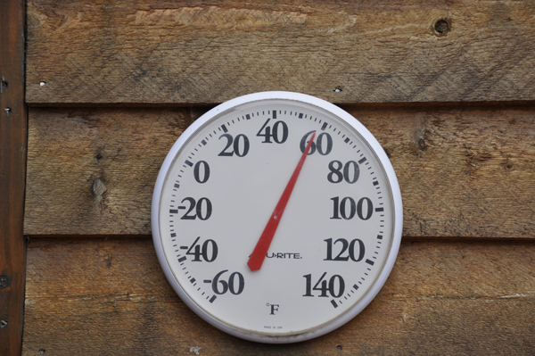 temperature in Denali