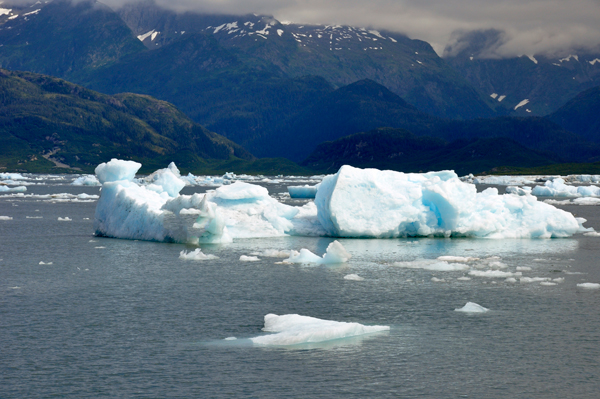 growler - a small iceberg
