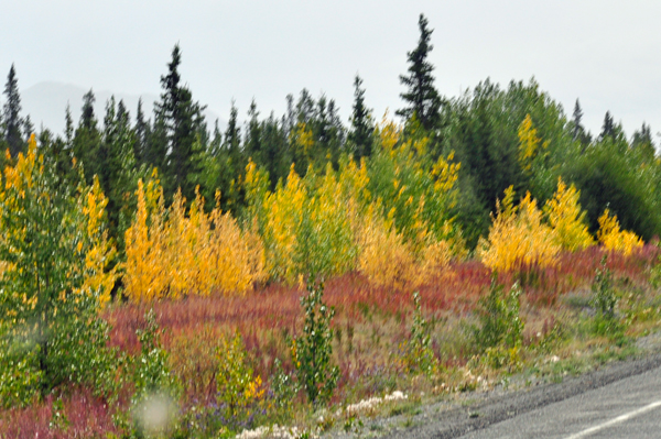 a touch of fall color