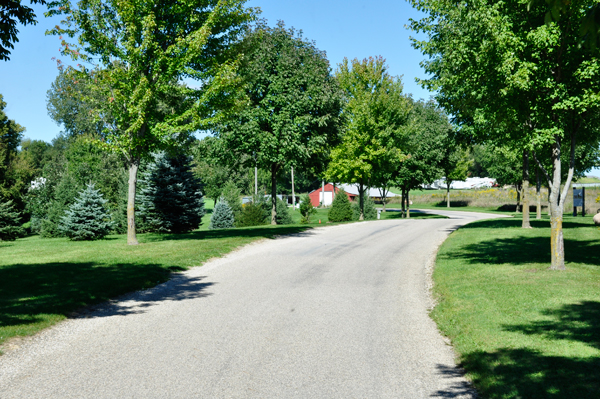 paved entry road to Timberline Campground