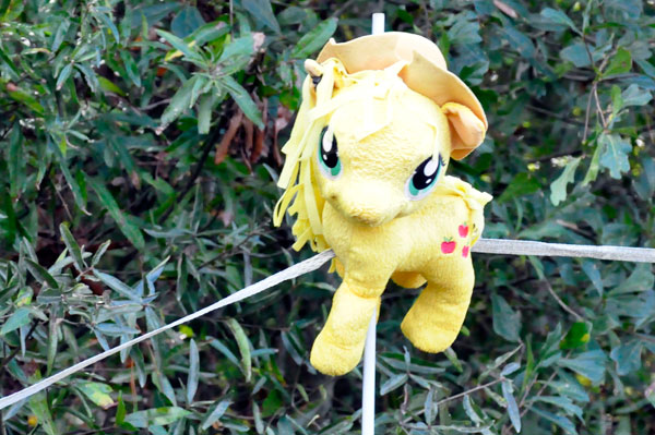 critters in the tree